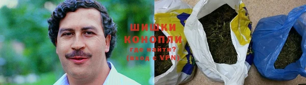 mdpv Новозыбков